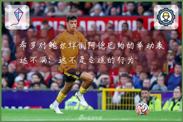 希罗对鲍尔绊倒阿德巴约的举动表达不满：这不是合适的行为
